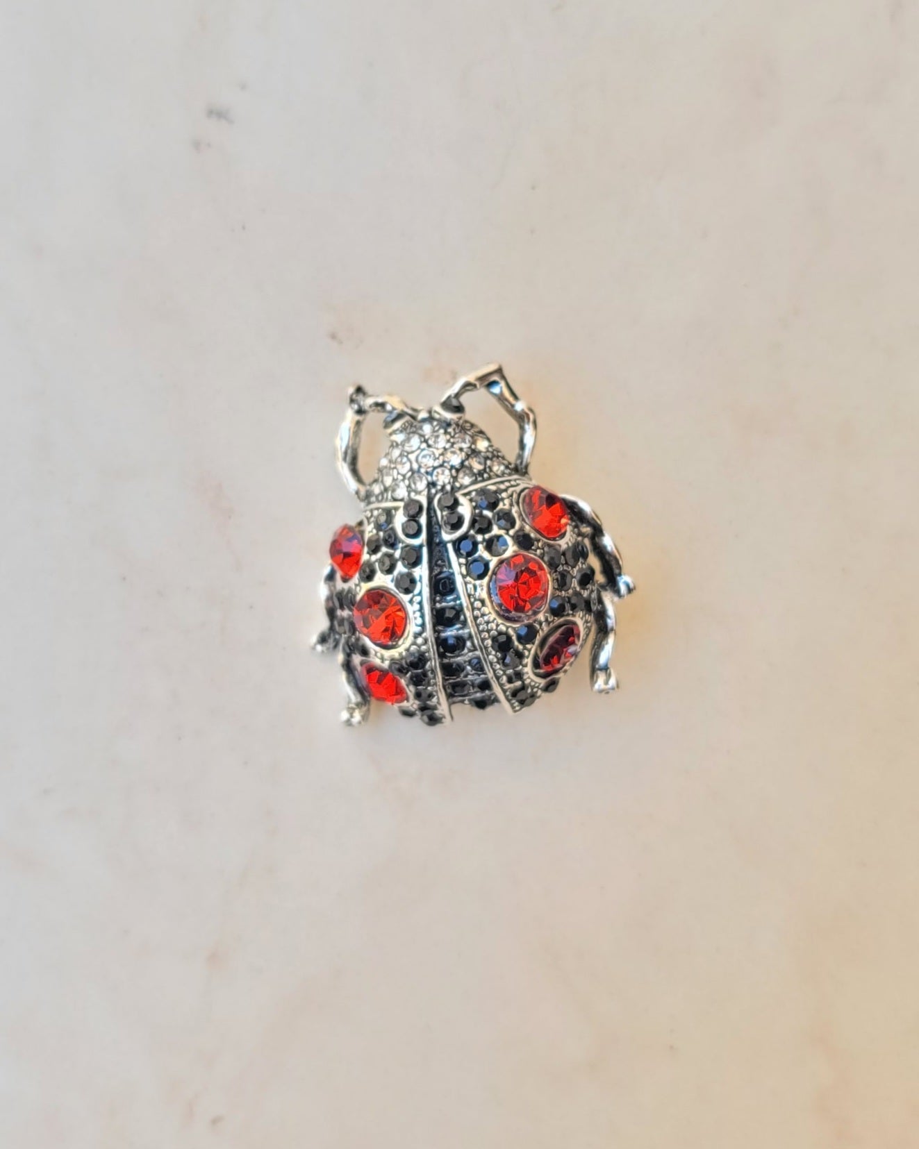 Black × Silver Ladybug Brooch