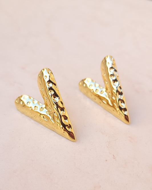 Stainless Steel Gold Plated Earrings