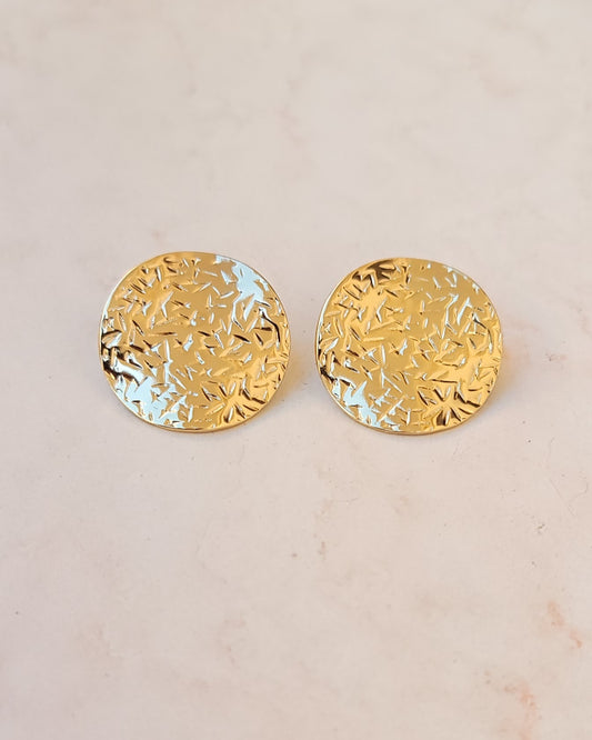 Stainless Steel Gold Plated Earrings