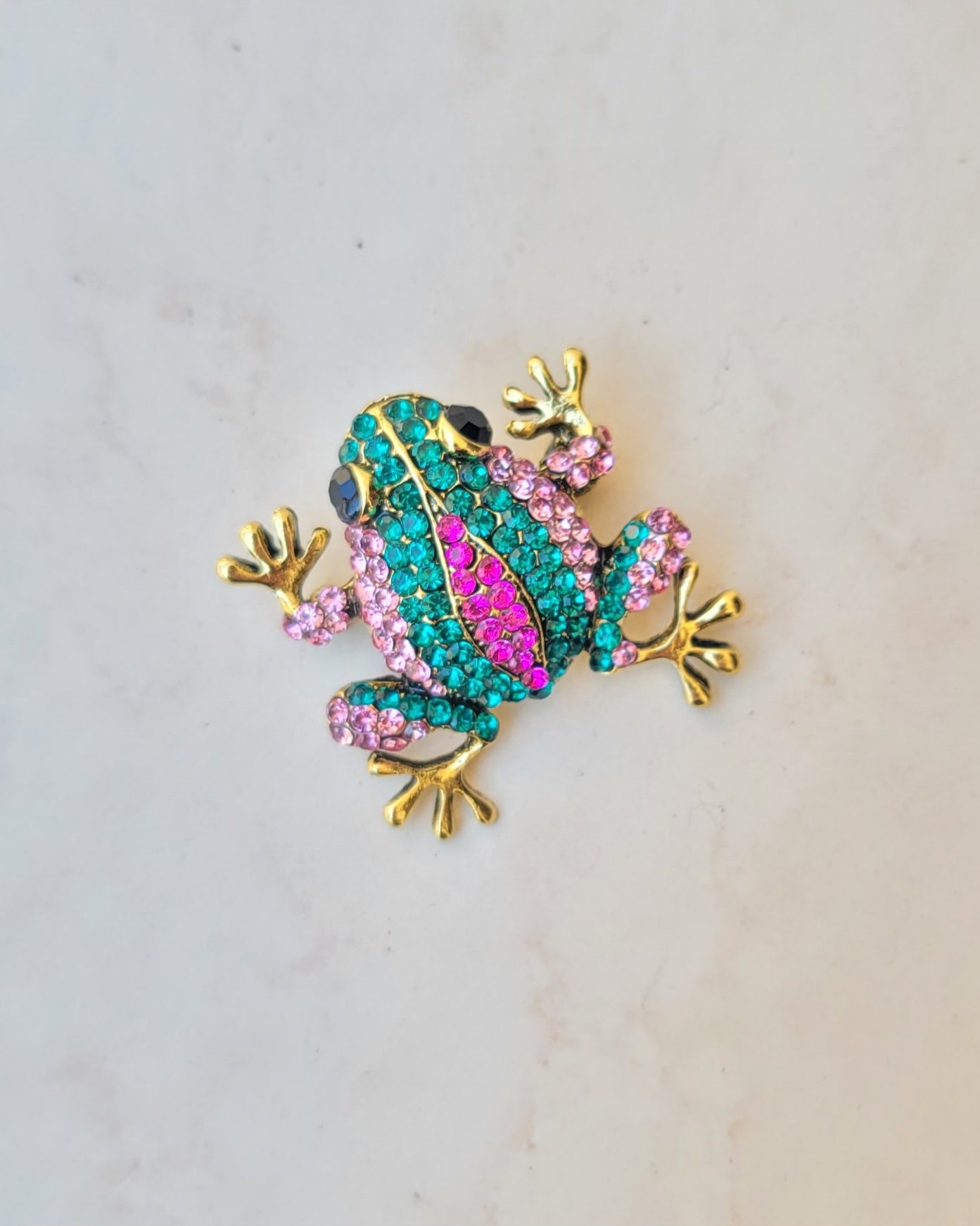 Frog Brooch